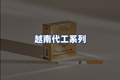 越南代工系列